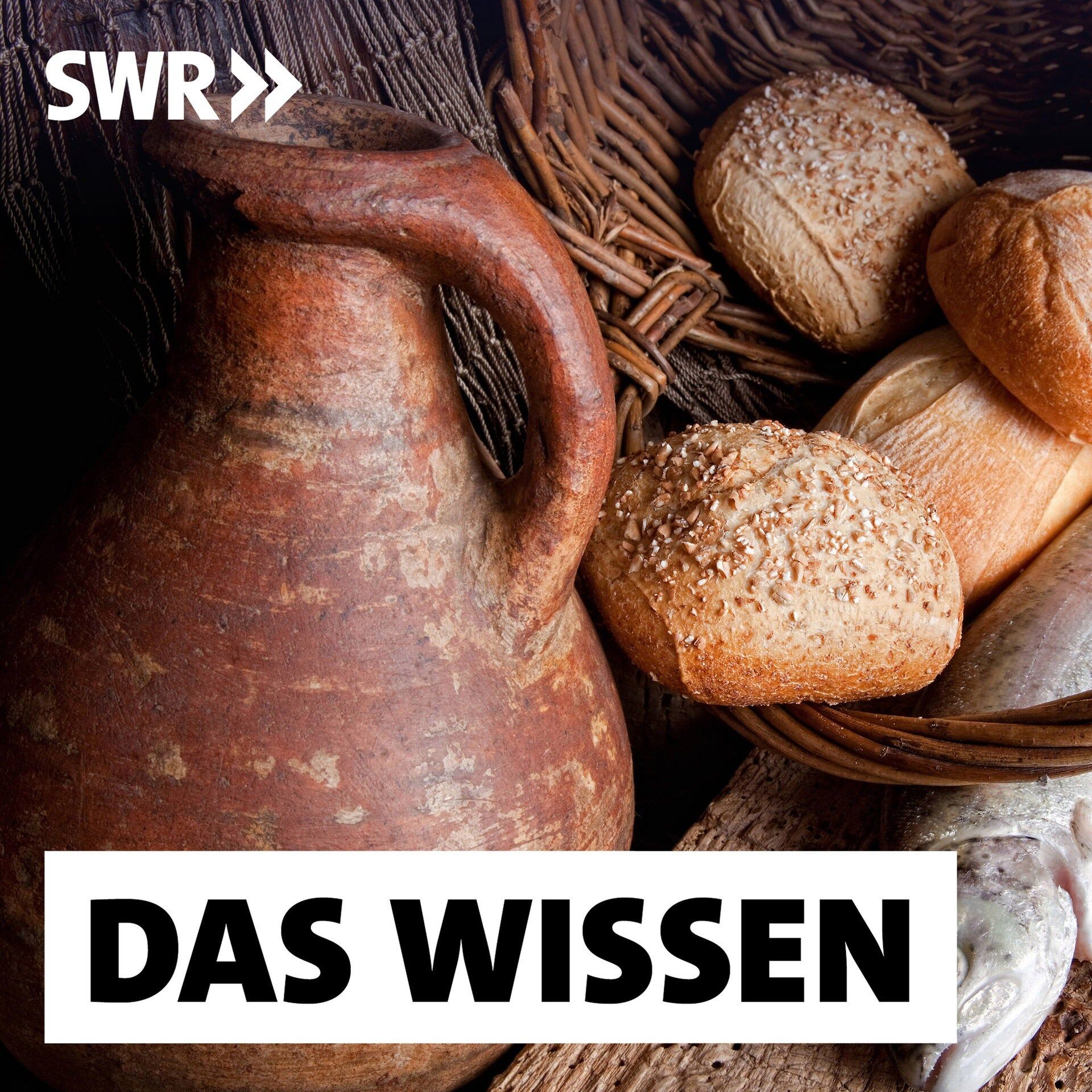 Was wir vom Mittelalter lernen können – Das ökosoziale Zeitalter?