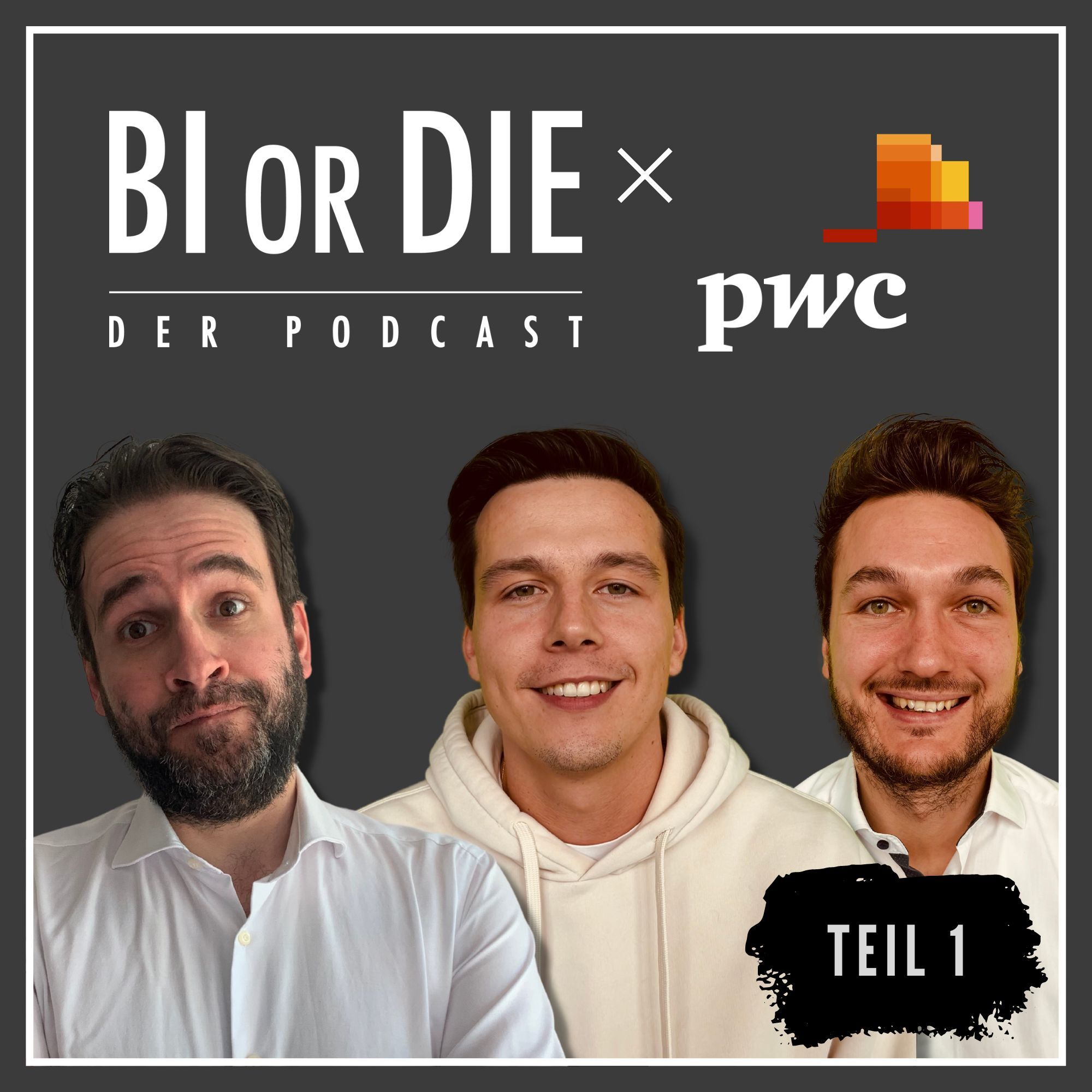 Reportingkatalog & Self Service | BI or DIE x PwC | Teil 1 - Tobias Elle & Jumen Rest