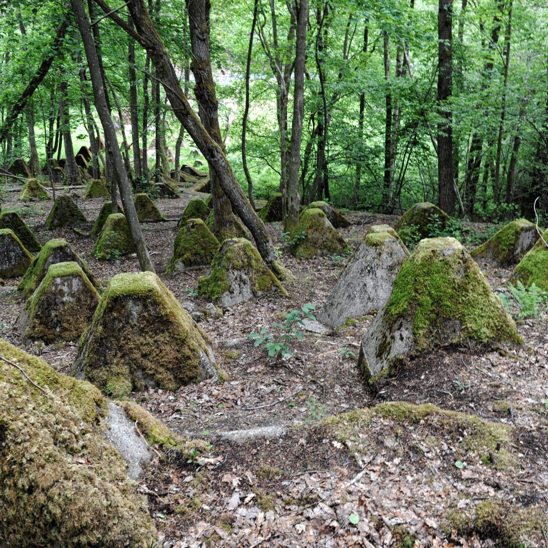 14.05.1939: Hitler besichtigt den Westwall