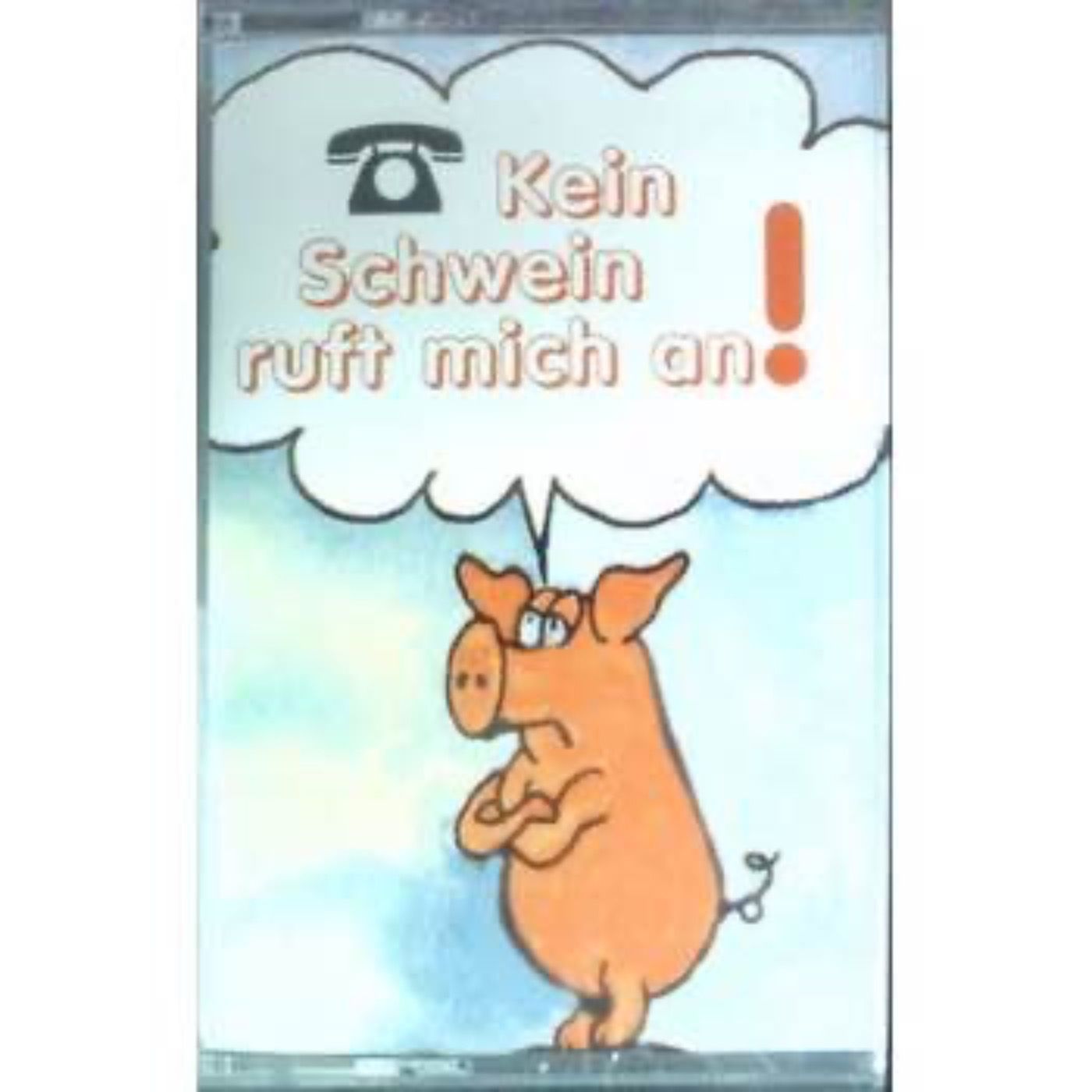 Kein Schwein ruft mich an